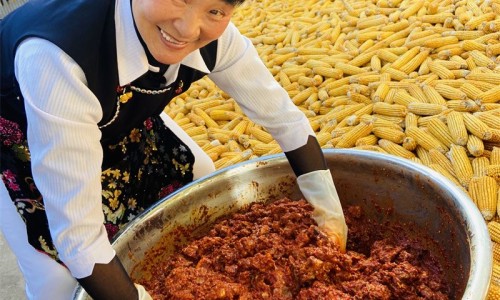 苍术中药材 功能主治-苍术中药图片网—知名的苍术中药图片欣赏网站,分享苍术中药大词典知识