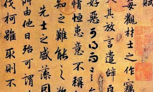 苍术中药大辞典-苍术中药图片网—知名的苍术中药图片欣赏网站,分享苍术中药大词典知识