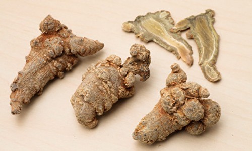 苍术中药图片网—知名的苍术中药图片欣赏网站,分享苍术中药大词典知识